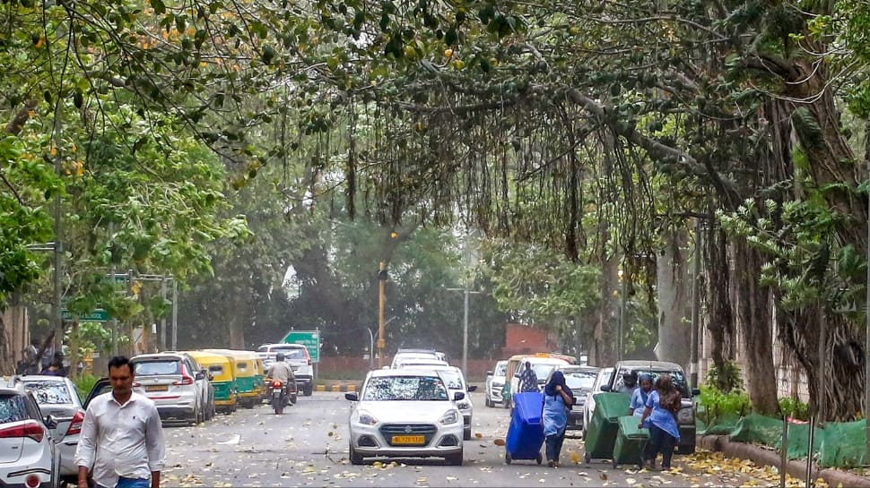 Delhi-NCR weather update: Mercury plummets 17°C as rain, dust storm, and hailstorm lash Noida, Ghaziabad