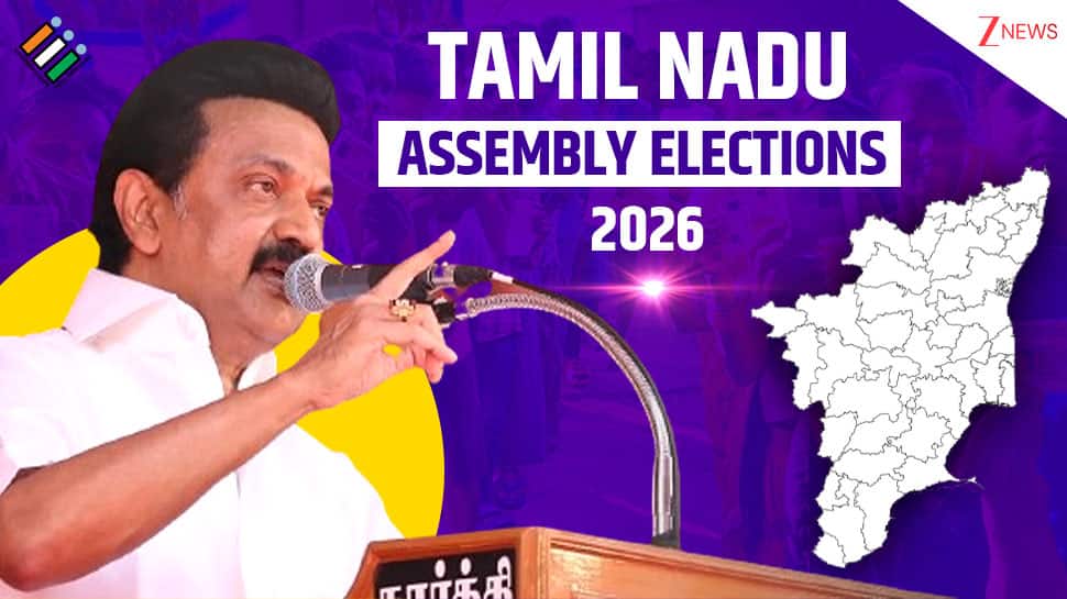 DMK`s fort breached: MK Stalin loses to TVK`s `giantkiller` VS Babu