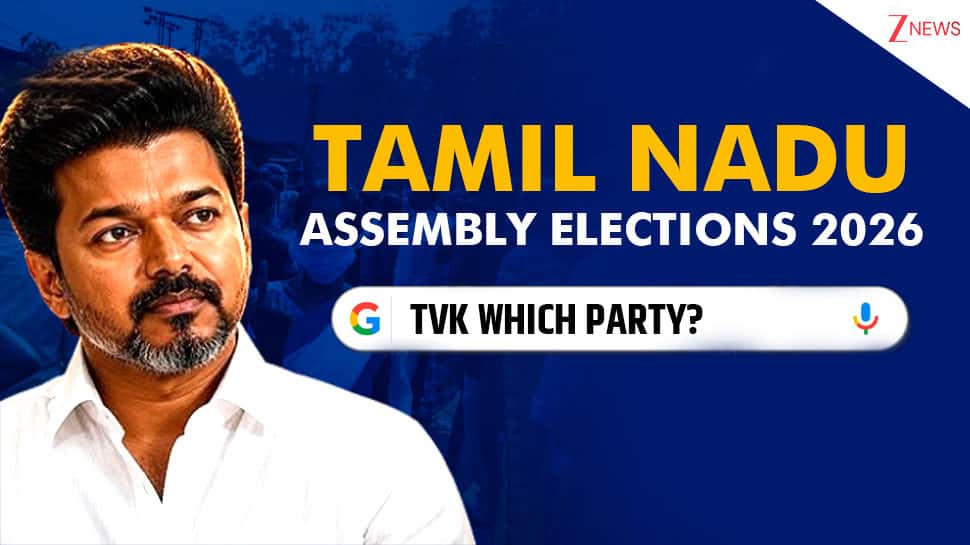 `TVK which party?` Google trends explode as Thalapathy Vijay scripts history in Tamil Nadu elections