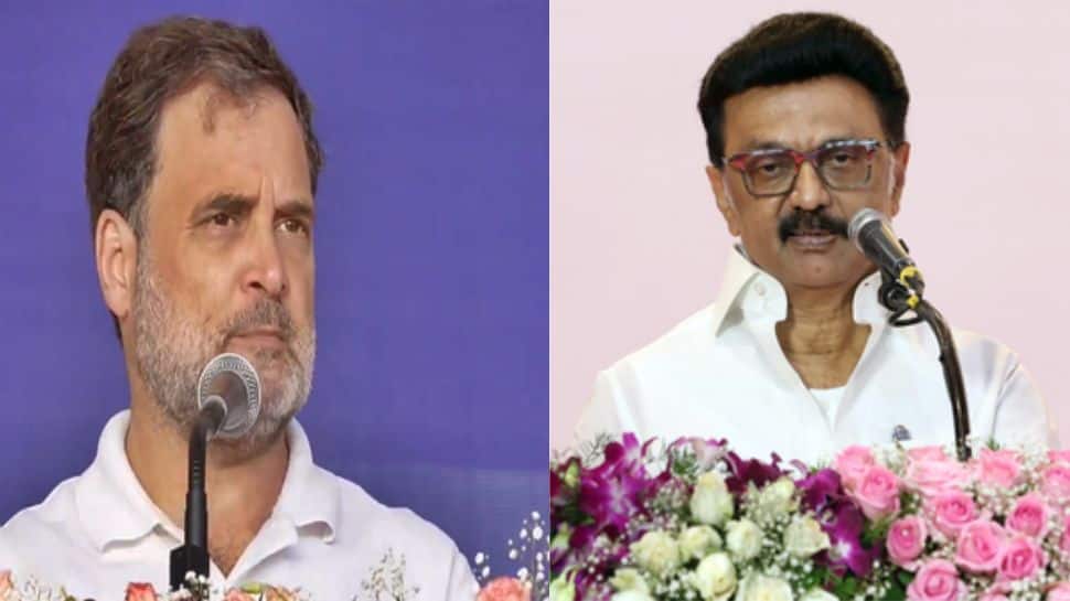 `Backstabber`: DMK slams Congress over possible alliance with Vijay`s TVK