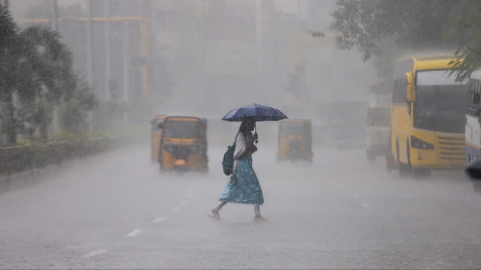 Tamil Nadu heavy rain alert: RMC Chennai warns of intense storms and 50 kmph winds in Nilgiris, Coimbatore, and 10 other districts