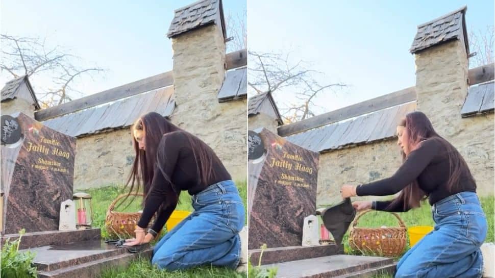 Celina Jaitley shares emotional video from son’s grave, alleges separation from children amid divorce