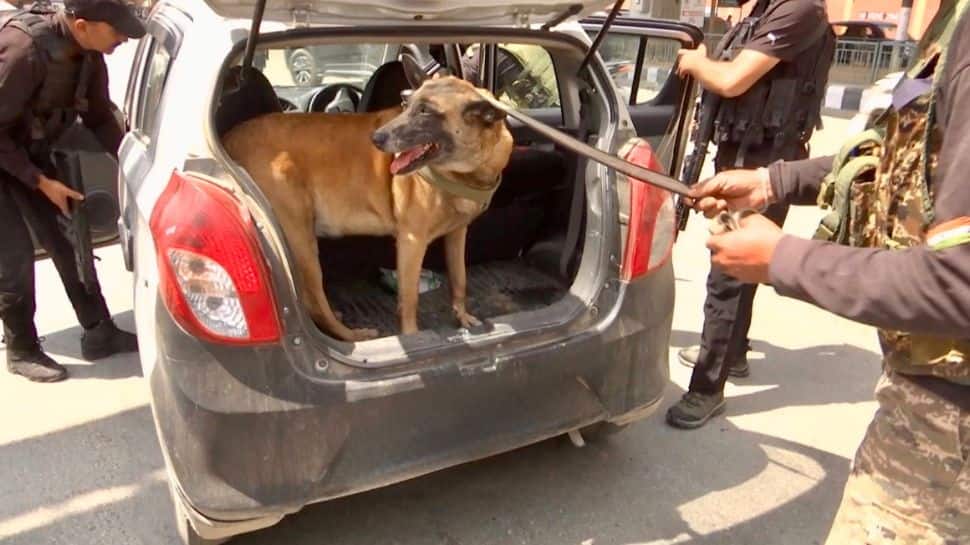 Jammu and Kashmir: K9 dogs help authorities track hidden drug stashes