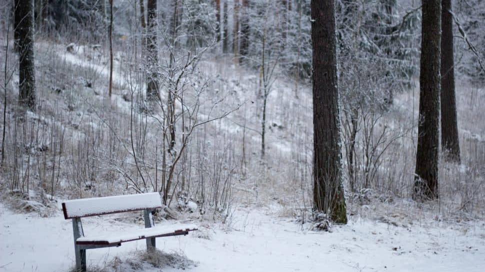 World's coldest places where people exist, and lives go on despite low ...