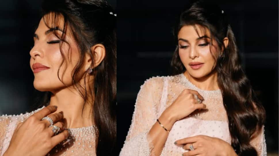Actress Jacqueline Fernandes withdraws application for turning approver in money laundering case