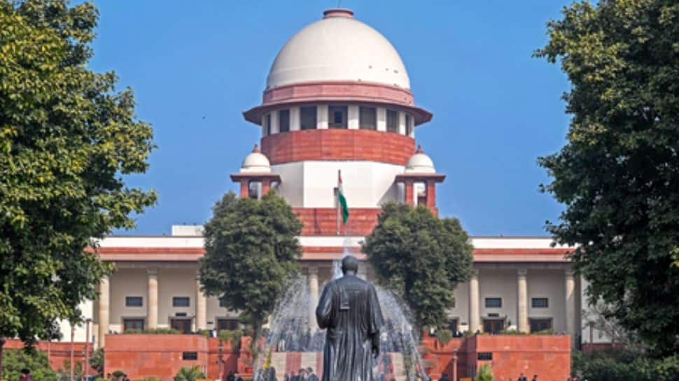 SC to hear plea against Madras HC order barring TVK MLA from floor test proceedings tomorrow