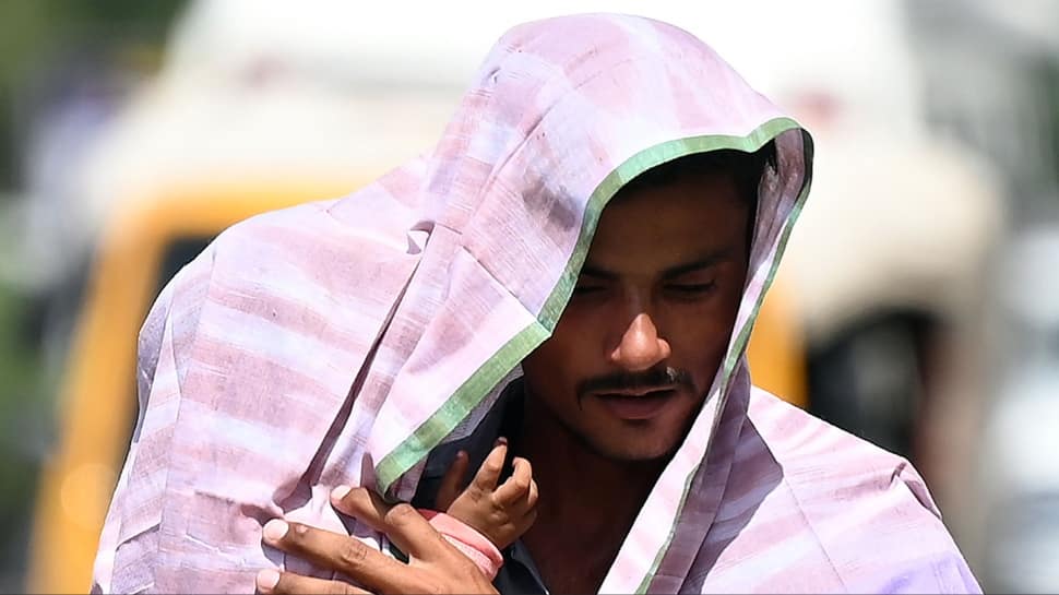 Rajasthan weather update: Barmer hottest with 48.3 degrees Celsius; red alert issued for severe heatwave in 3 districts today