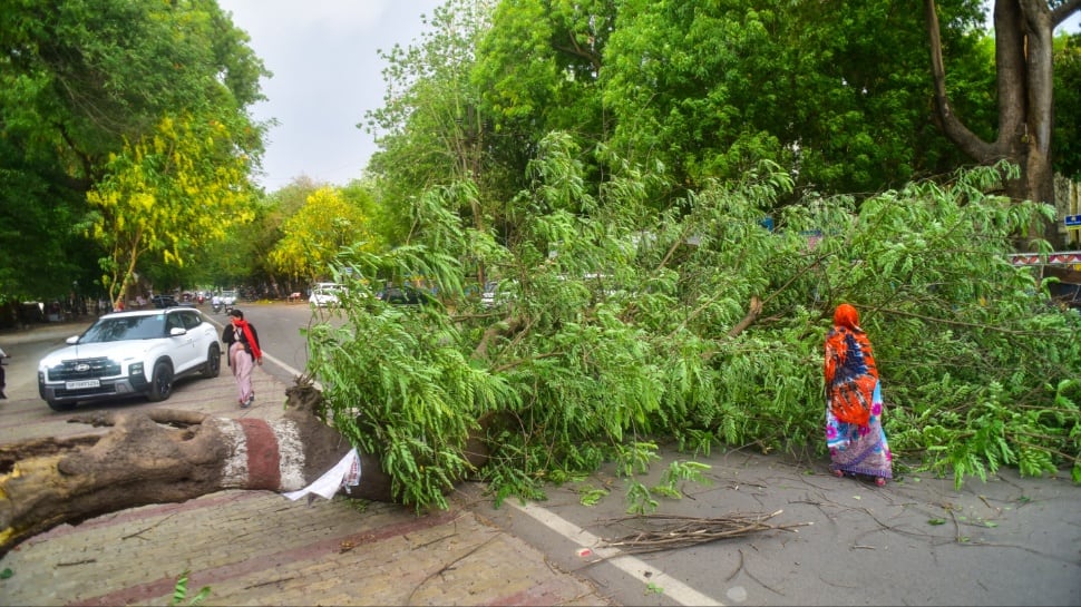 UP weather alert today: Orange alert for Lucknow and Kanpur; rain warnings issued for 38 districts | Check IMD forecast