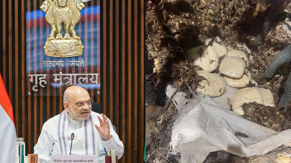 India`s first-ever Rs 182 crore Captagon seizure: All you need to know about the `Jihadi Drug` bust under Operation Ragepill