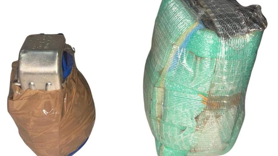 Three arrested in Gurdaspur grenade case; foreign handler angle emerges: Punjab Police