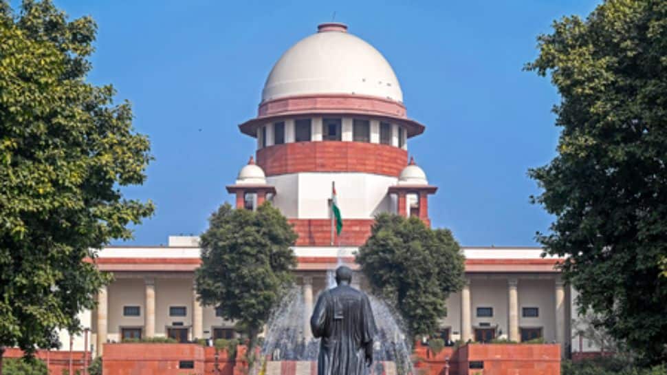 `Dog bite menace rising`: SC refuses to recall order on shifting stray dogs from public places to shelters