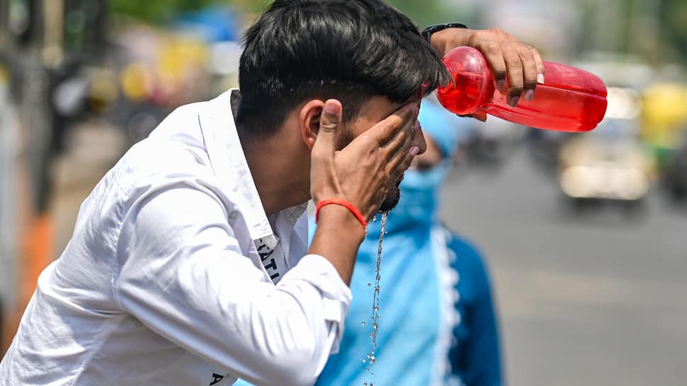Delhi heatwave alert: National capital witnesses season`s hottest day at 43.4 degrees, IMD issues alert, check weekly forecast
