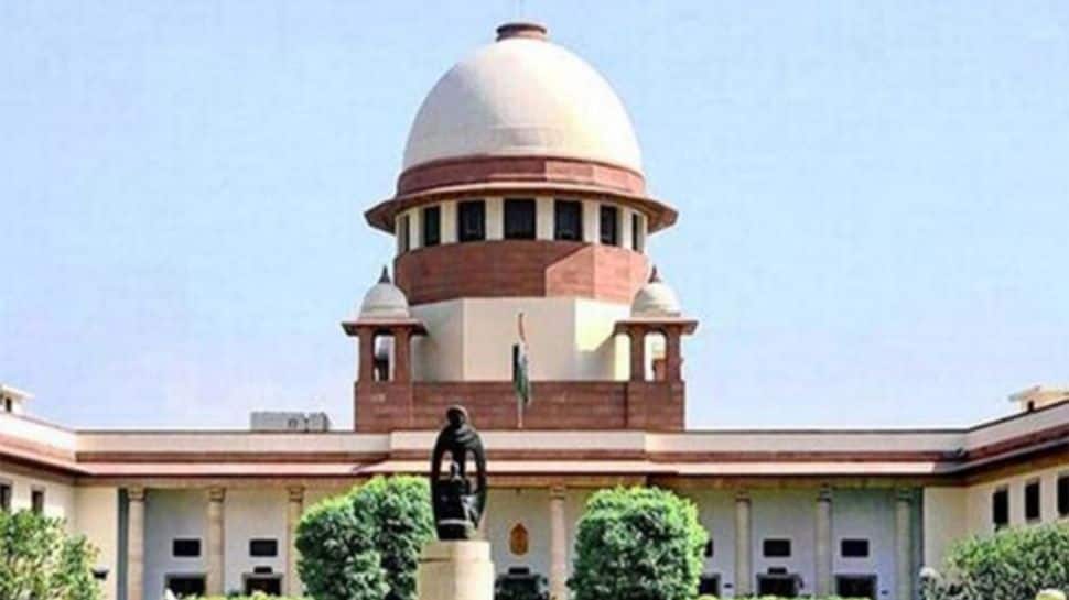 Supreme Court allows Euthanasia of rabid and aggressive stray dogs