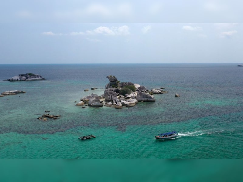 Snake Island, Brazil: Home to thousands of venomous snakes
