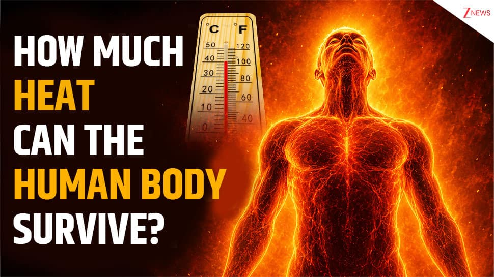 The science of survival: What extreme temperature and humidity levels can the human body actually live through? EXPLAINED