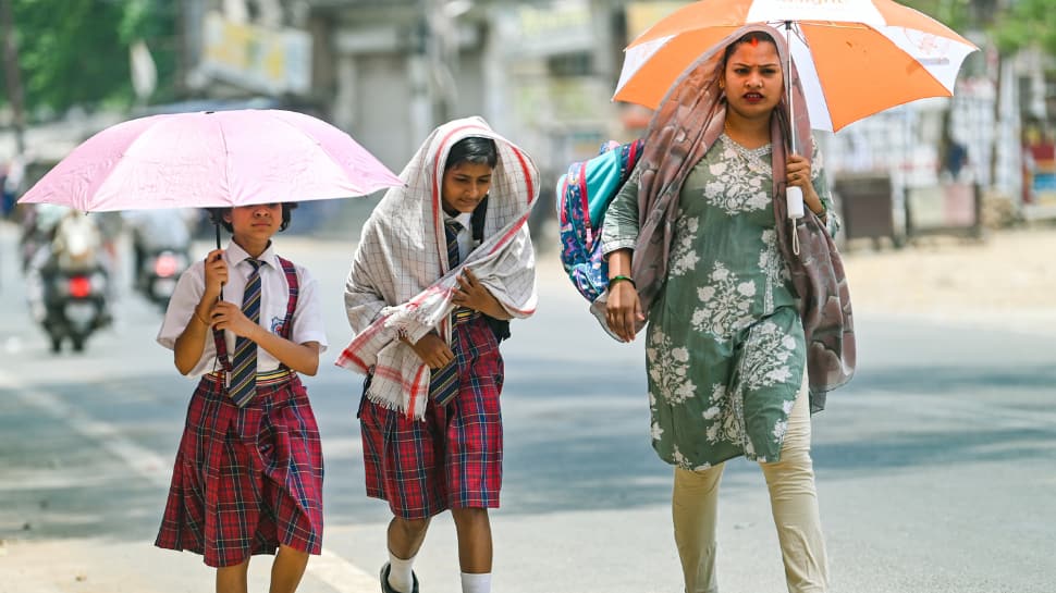 Rajasthan heatwave alert: Jaipur almost as hot as Jaisalmer, Chittorgarh sizzles at 46.3°C, IMD issues orange alert