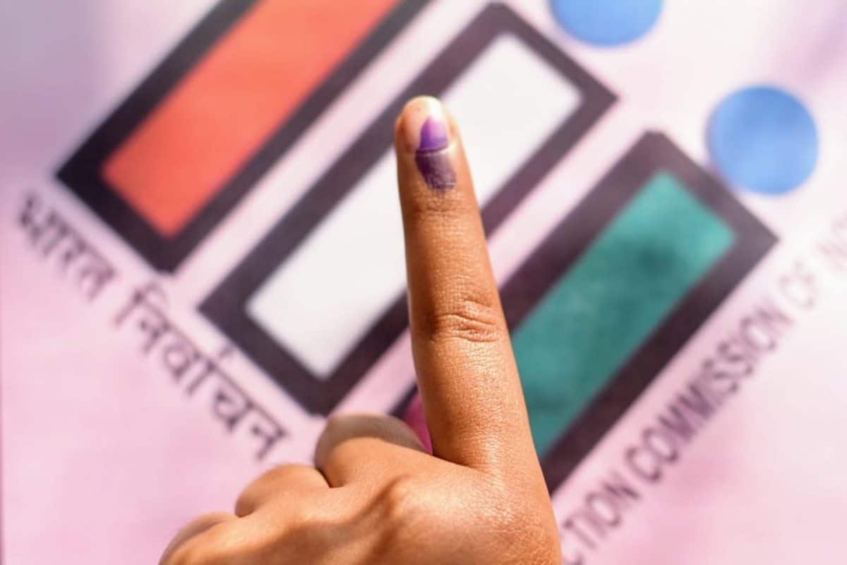 Himachal Pradesh Panchayat Poll Results: Over 10,800 candidates elected unopposed