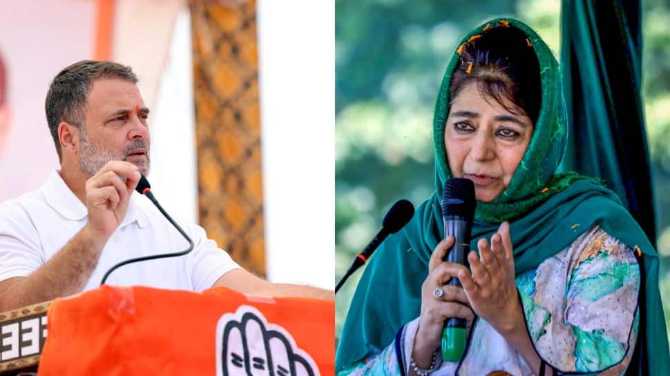 `You reap what you sow`: Mehbooba Mufti on Rahul Gandhi`s `traitor` remark against PM Modi, Amit Shah