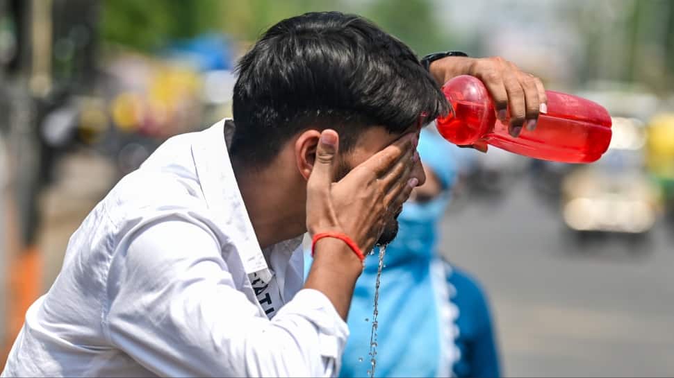 Odisha heatwave: IMD issues Orange Alert as mercury hits 46°C in Jharsuguda; severe heatwave to persist
