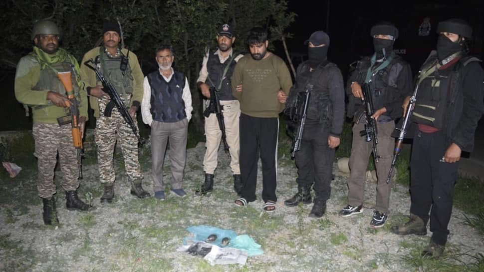 Terror associate arrested in South Kashmir along with two hand grenades
