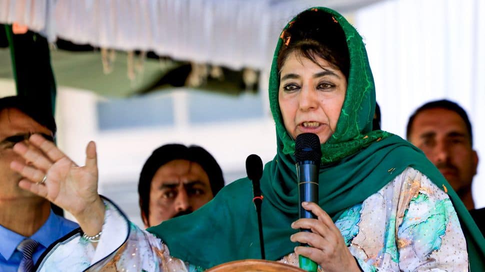 `India needs revolution`: Mehbooba Mufti backs viral `Cockroach Janta Party`