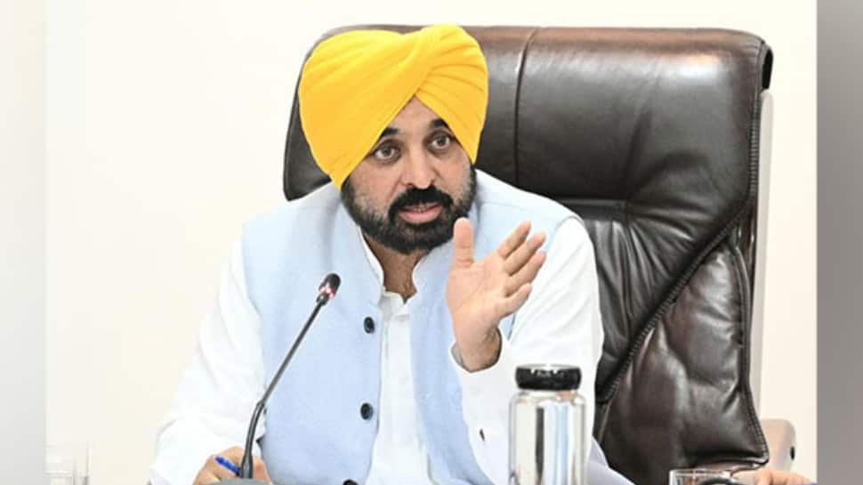 Punjab government to implement Supreme Court directives on stray dogs across the state in true letter & spirit: CM Mann