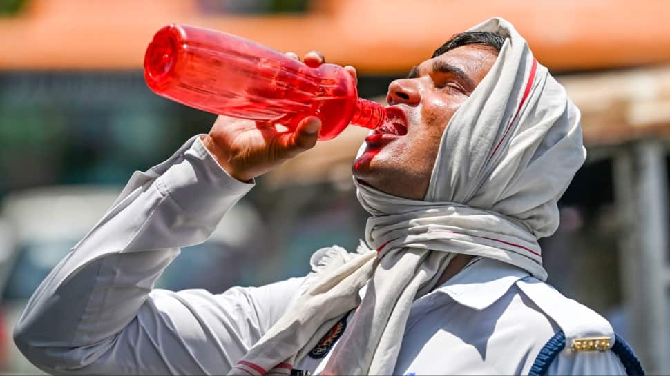 Telangana heatwave: 16 dead across 7 districts; government declares Red Alert and financial aid