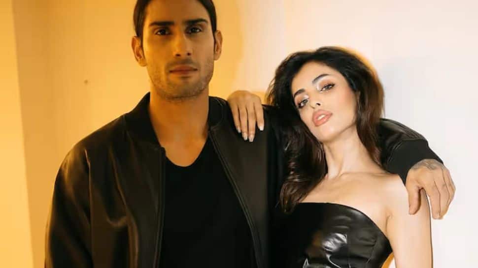 Priya Banerjee shares cryptic post amid Arya Babbar-Prateik Smita Patil controversy; actor reposts note