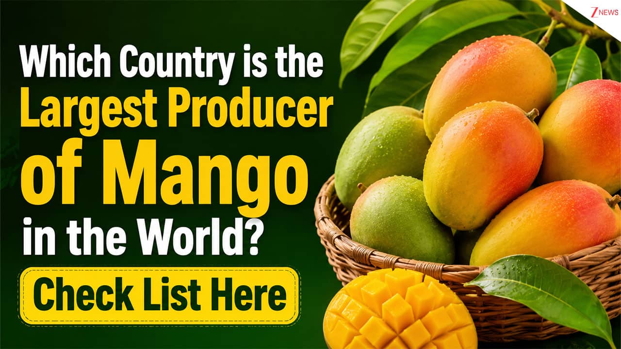 Which country produces the most mangoes in the world? Is India still no.1? Check full list