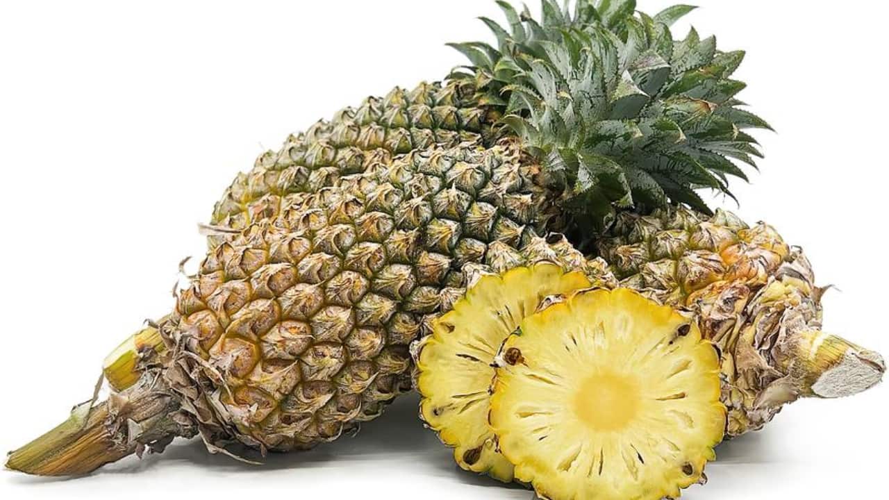 Which Indian city is known as `Pineapple city` of India?
