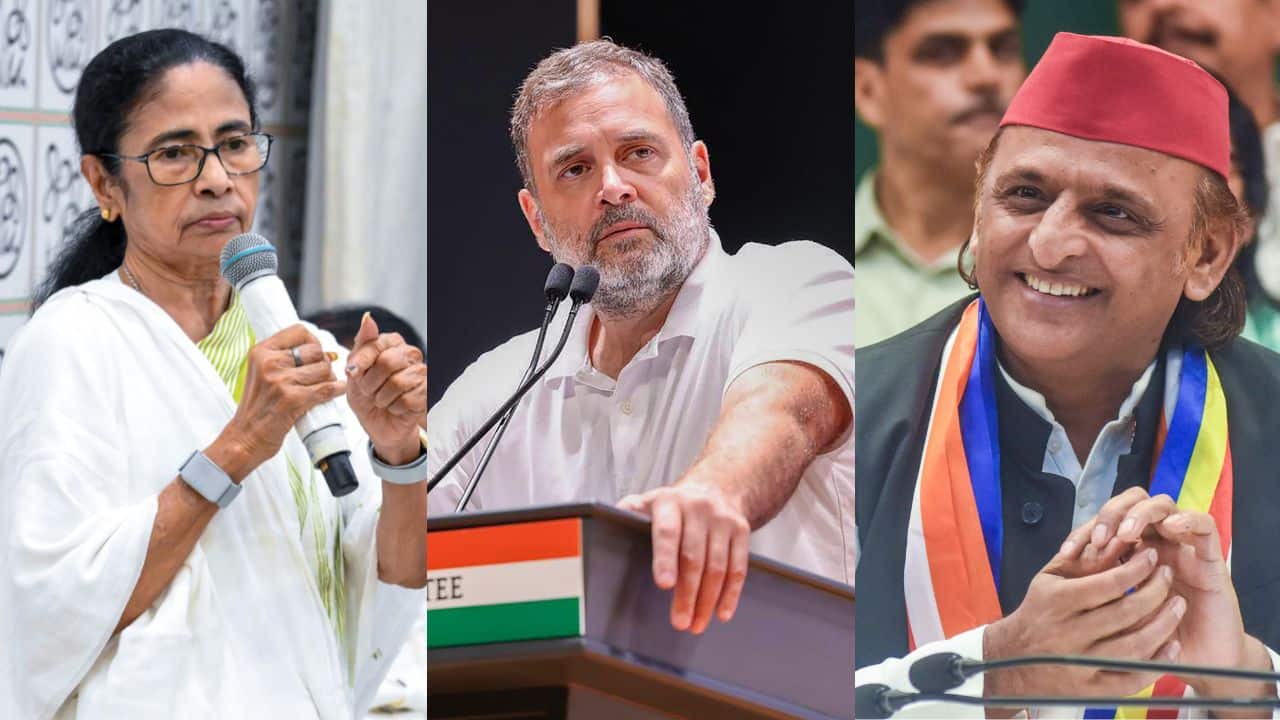Will INDIA bloc revive itself to counter BJP? Opposition parties mull unity