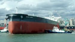 How India is getting its ships via Strait of Hormuz - Govt Explains | WATCH