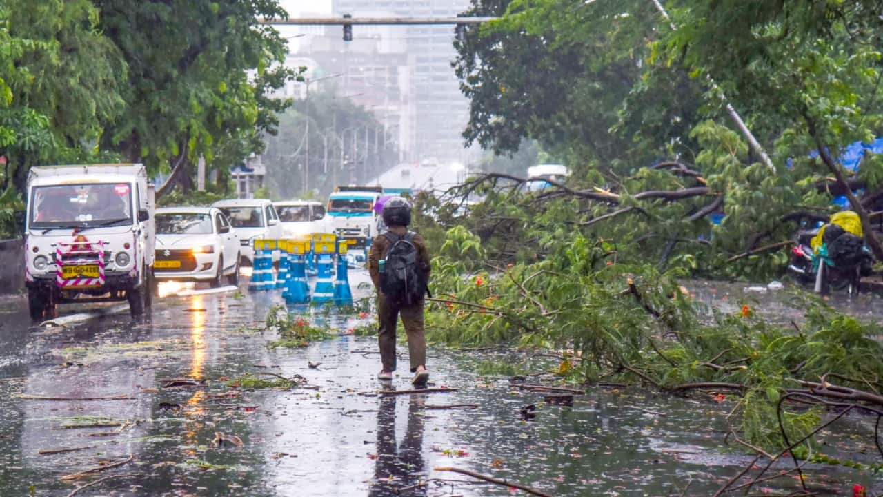 Kolkata storm: 7 dead as severe thunderstorms rain havoc across South Bengal; flights and trains disrupted