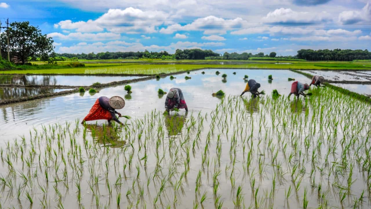 Will El Nino push food prices higher this monsoon season? Govt responds