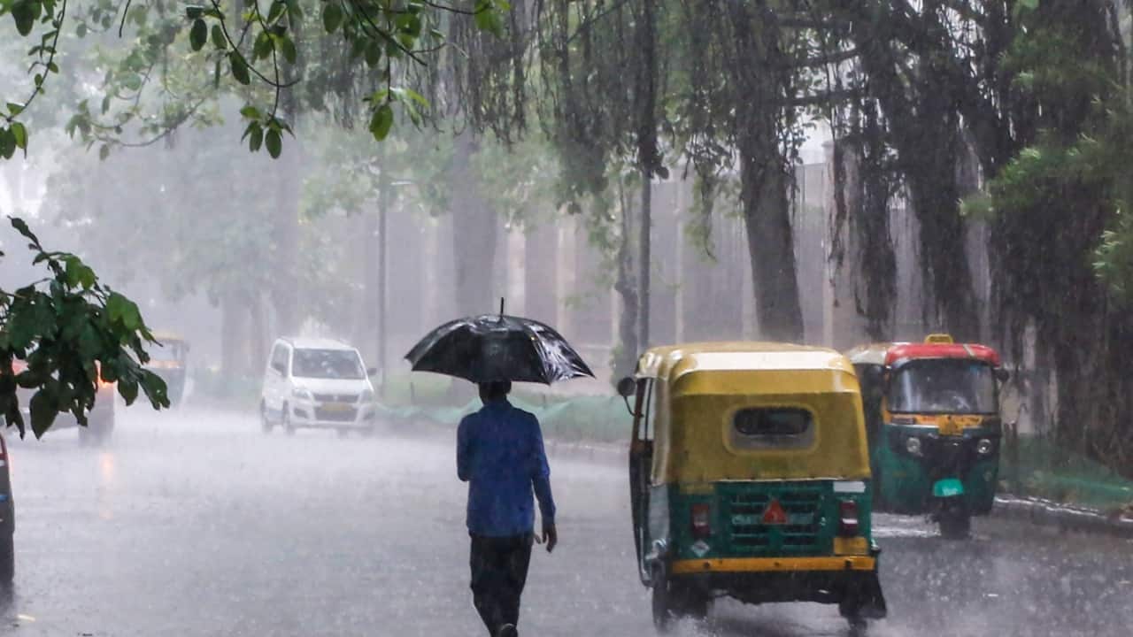 WMO issues global red alert: `very strong` El Niño to trigger severe droughts, heat stress, and weak South Asian monsoons