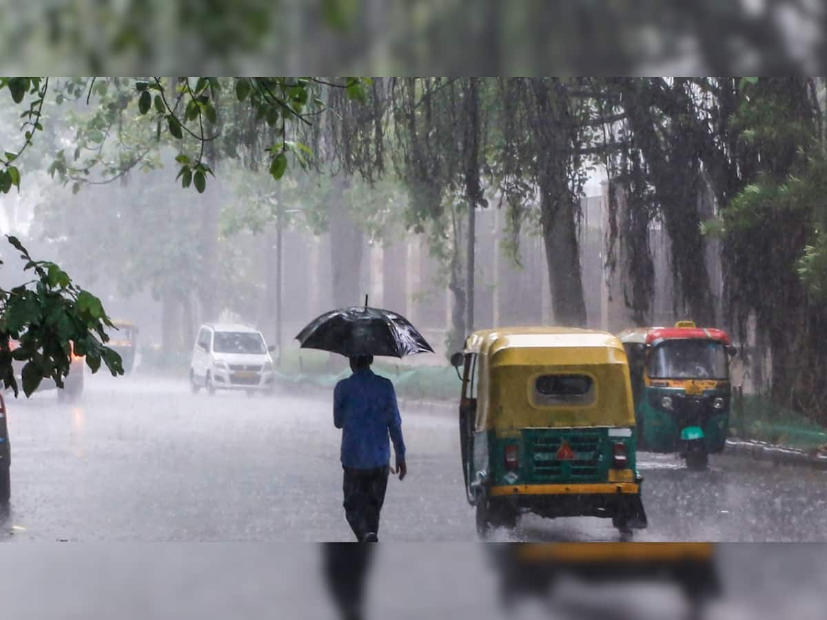 WMO issues global red alert: `very strong` El Niño to trigger severe droughts, heat stress, and weak South Asian monsoons