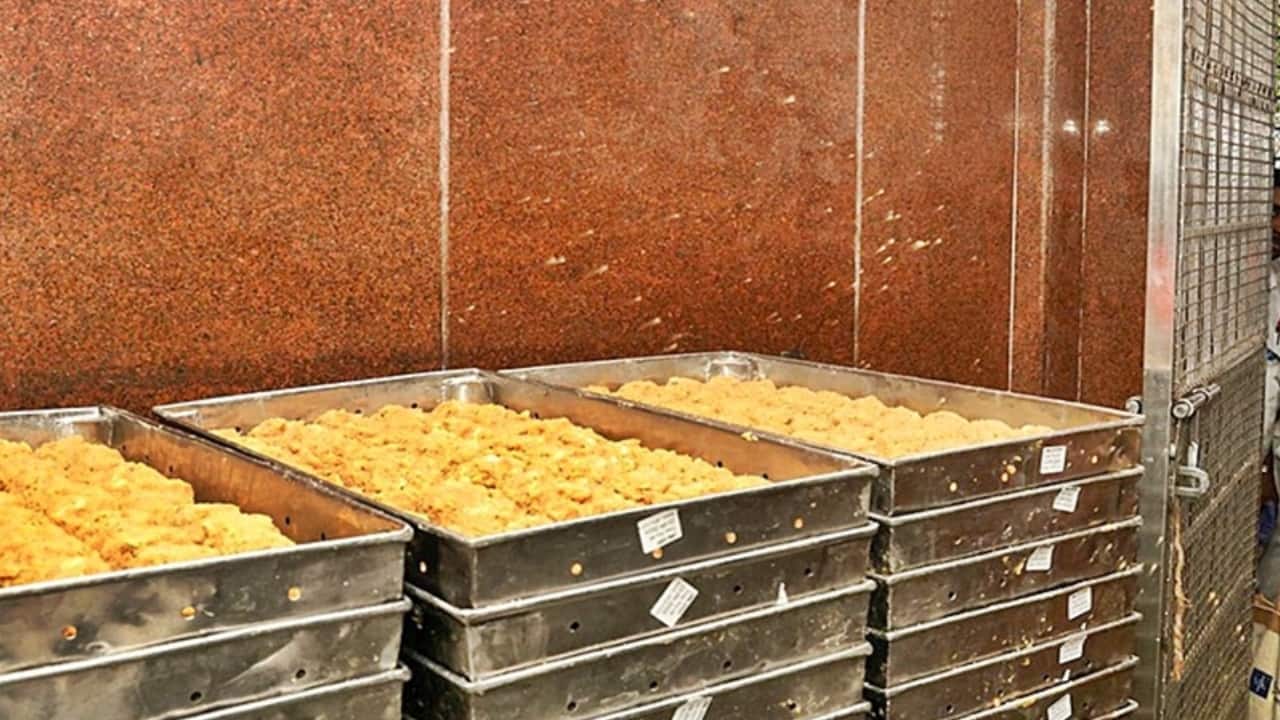 Tirumala ghee adulteration case: ED conducts searches at 15 locations across states