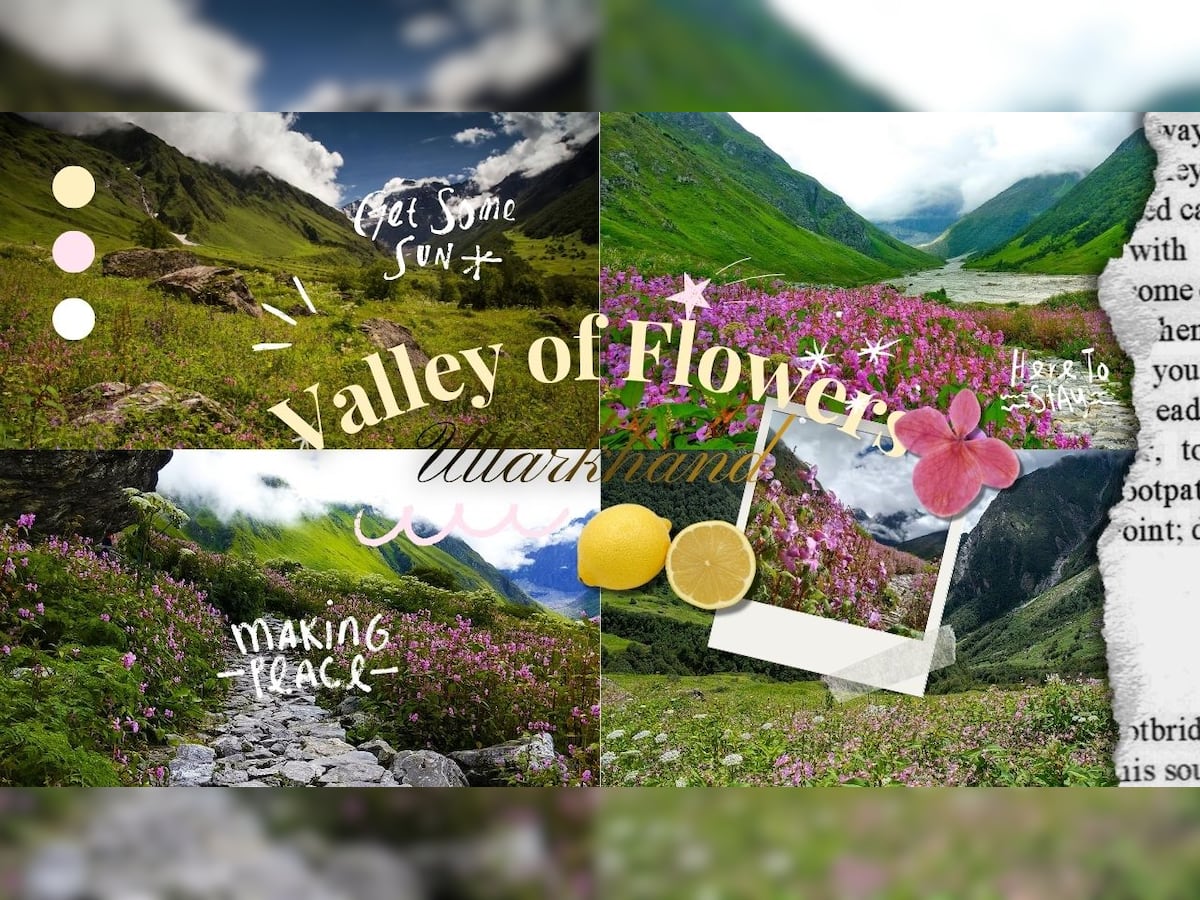 Is Valley of Flowers open now? Here’s how to reach, best time to visit, trek details, and important travel tips