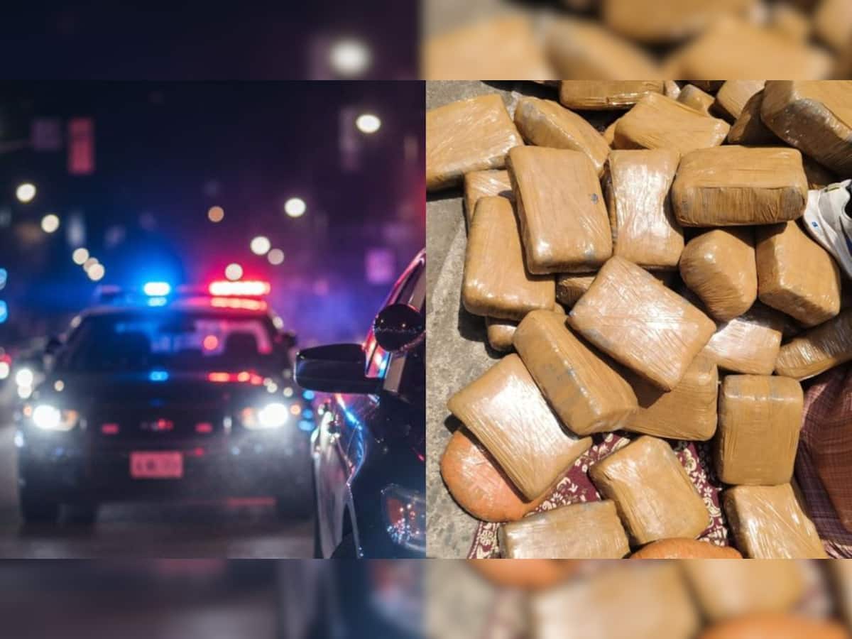 DRI busts interstate drug syndicate, seizes 522 kg ganja worth Rs 2.61 crore