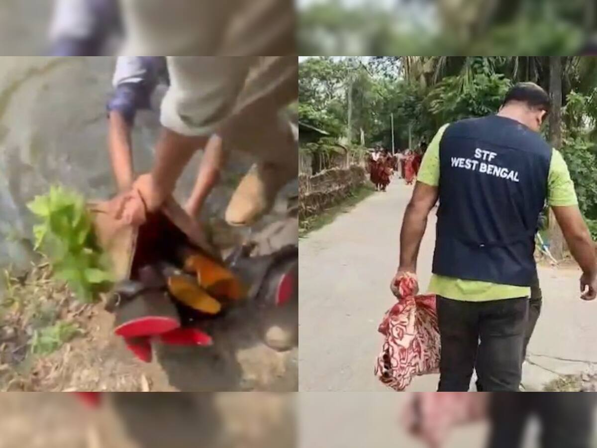 Sandeshkhali shock: STF recovers firearms hidden in pond linked to TMC leader