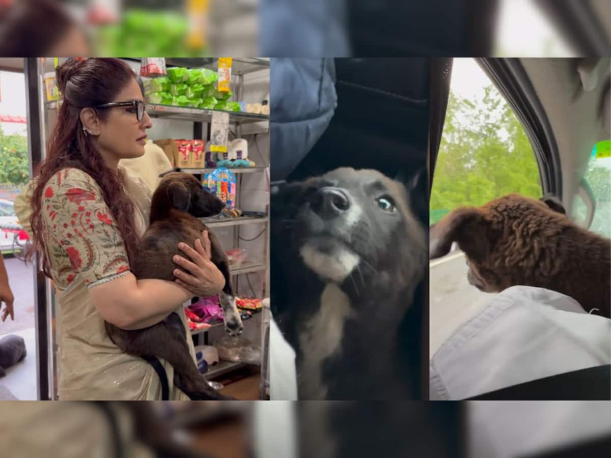 Raveena Tandon finds abandoned puppy at airport, what she did next will melt your heart