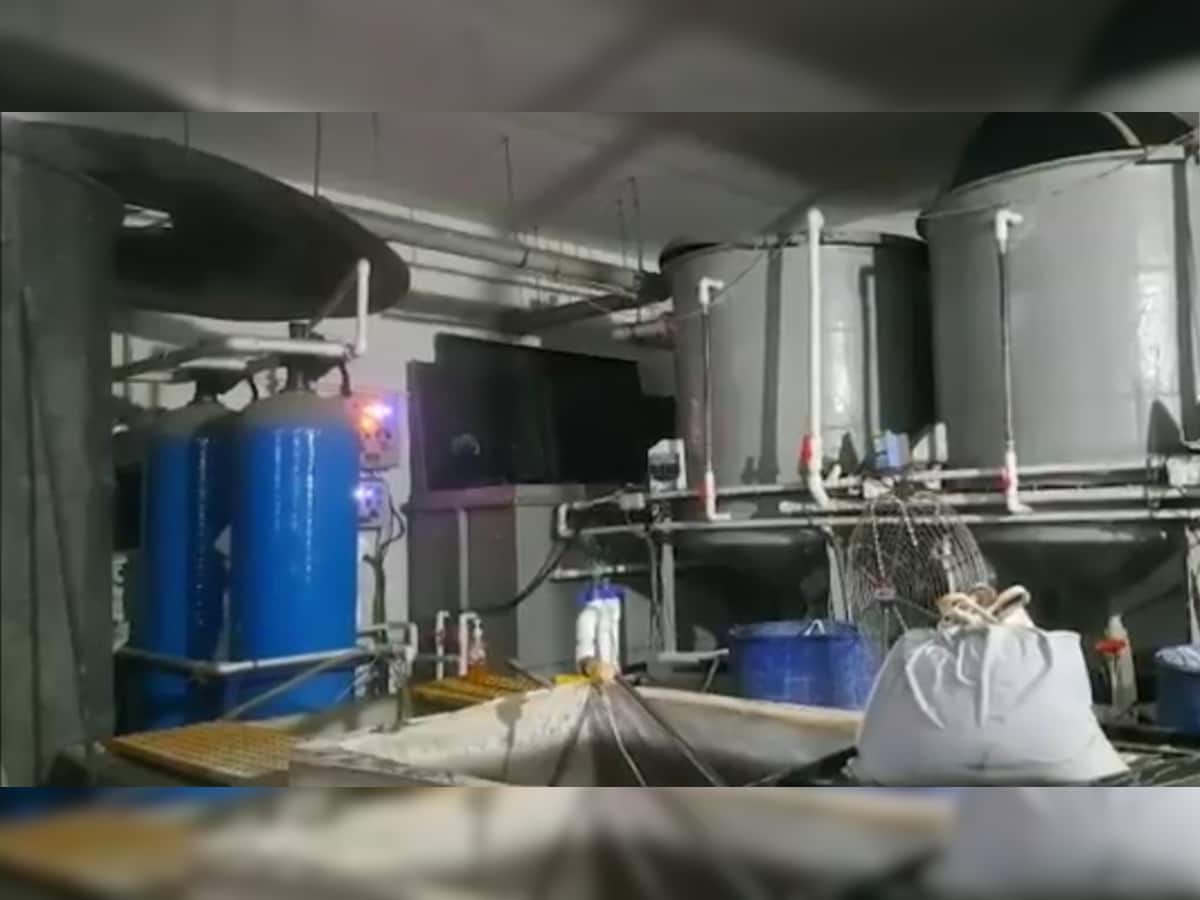 Four workers die after inhaling toxic gas during tank cleani