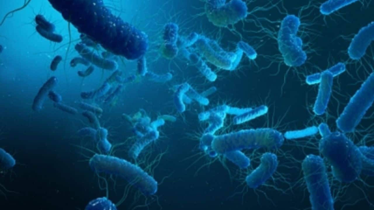 Shigella infection alert in Kerala, health departm