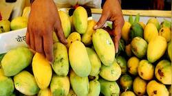Nepal clarifies: No ban on Indian mango imports, only phytosanitary measures e