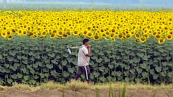 PM Kisan 23rd instalment: When will Rs 2,000 be credited in farmers' bank a/c?