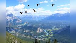 Photo inspiration: Fresh Look at Top 10 Least Densely Populated Countries Latest News Trending Topics