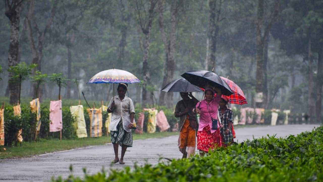 IMD weather update: Heavy rain alert issued for Delhi-NCR, UP, Rajasthan and over 20 states as monsoon advances