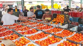 El Nino likely to impact food prices