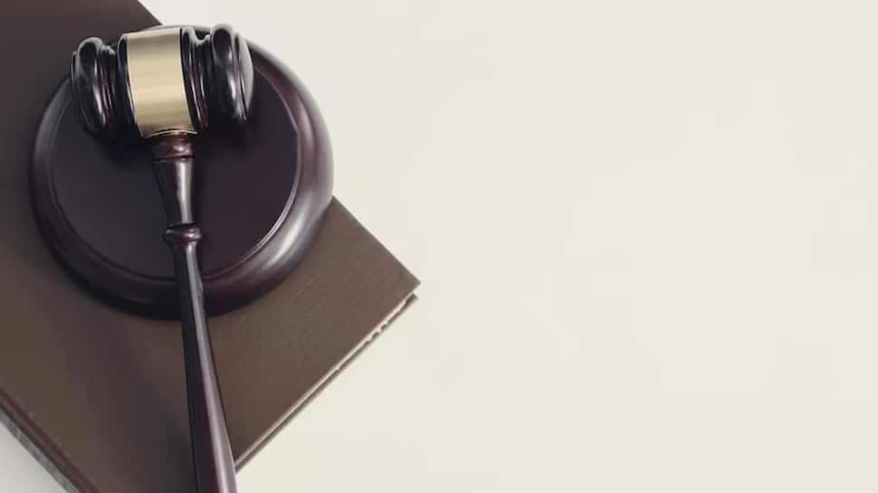 Defamation Suit: Delhi Court grants interim injunction to entrepreneur Ankiti Bose, directs article removal