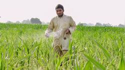 PM-KISAN 23rd installment released; Rs 2000 credited in a/c of farmers